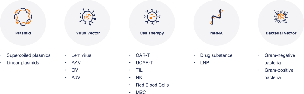 A diagram showing the different types of therapy.