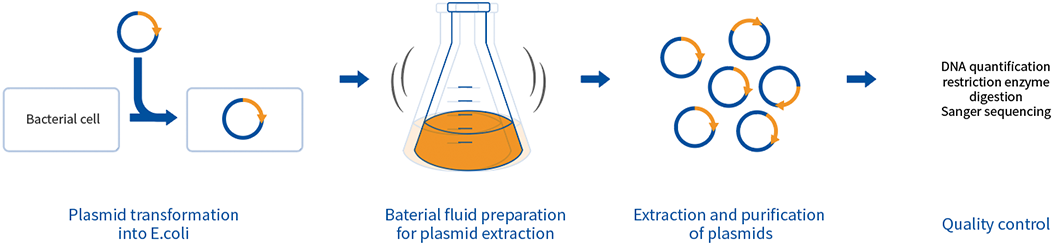 A diagram showing the process of using a syringe.